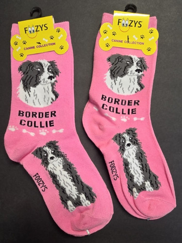Foozys canine border collie - border,