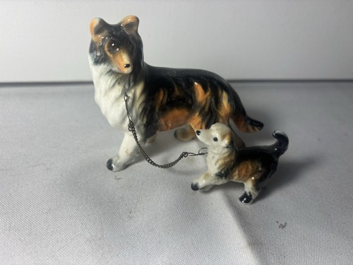 Mdm napco collie - mdm, dog