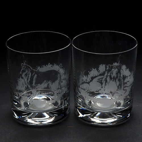 Rough collie dog whiskey - rough,