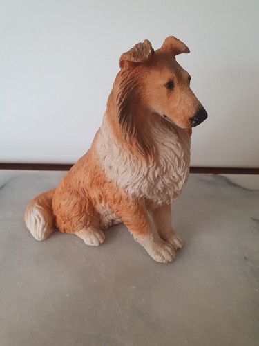 Castagna rough collie dog - collie,