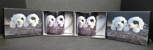 Vintage puppies lang - 2,