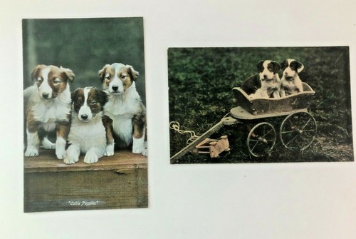 Pair real photo postcards - pair,