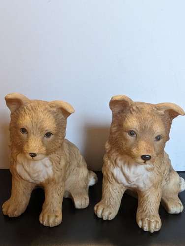 Vintage collie puppies - collie, of