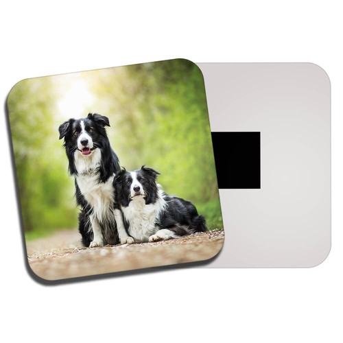 Border collie couple fridge - border,