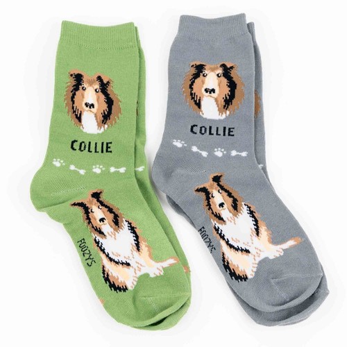 Collie pointed snouts - collie,
