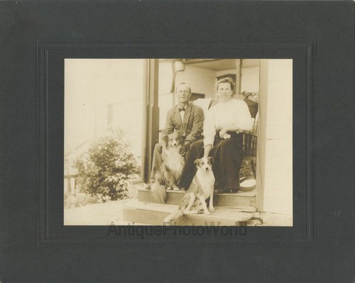 Couple with collie - with, puppy