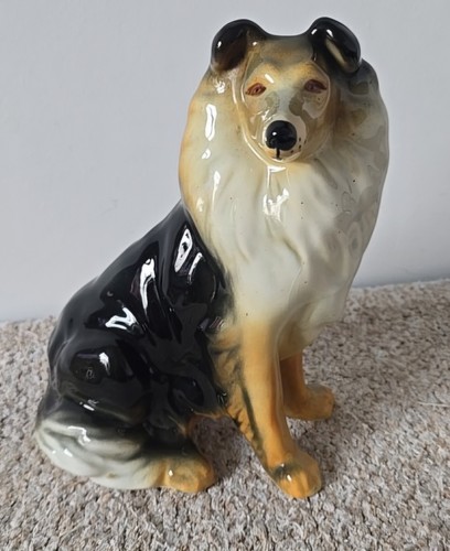 Sitting collie dog large - sitting,