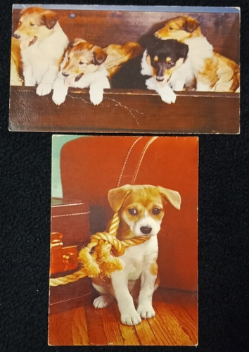 Vintage postcards puppies - x,