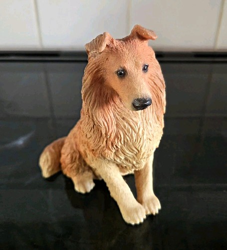 Castagna rough collie - rough,