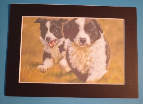 Matted x 6 print - 5",